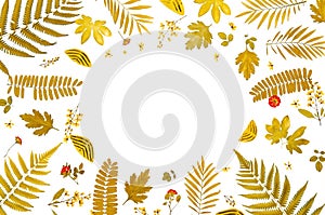 Frame from yellow leaves and dry leaves and flower on white background