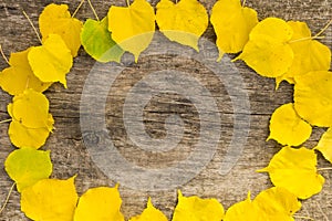 Frame of yellow leaves on rustic wooden background