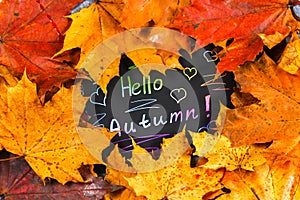 A frame of yellow and orange autumn maple leaves on gray dark concrete. Black plate with colored text. The inscription is hello au