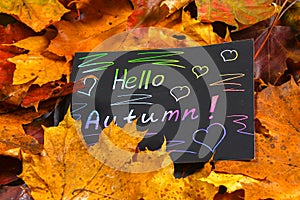 A frame of yellow and orange autumn maple leaves on gray dark concrete. Black plate with colored text. The inscription is hello au