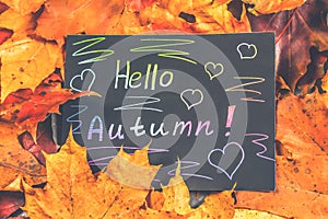 A frame of yellow and orange autumn maple leaves on gray dark concrete. Black plate with colored text. The inscription is hello au