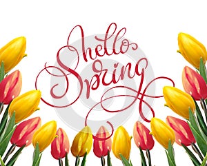 Frame of yellow and red tulips on a white background and text Hello Spring. Calligraphy lettering