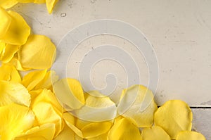 Frame of yellow rose petals on a wood background.