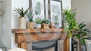 Framed artwork and plants adorn the mantle above the fireplace adding a touch of personality to the space. 2d flat