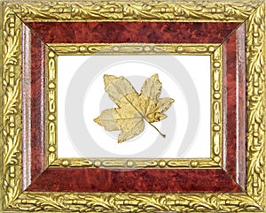 Framed gilded maple leaf photo