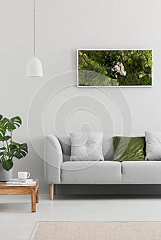 Framed, green moss garden on a white wall in a trendy living room interior with an elegant, gray sofa and a wooden table. Real pho