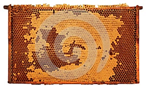 Framed Honeycomb