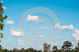 Framed trees and blue skies and clouds