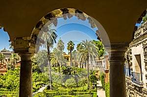 A framed view across tropical gardens in Seville, Spain