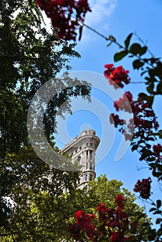 Framed View of Flatiron Building from Madison Square Park - Manhattan, New York City