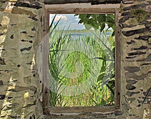 Framed view of a marsh