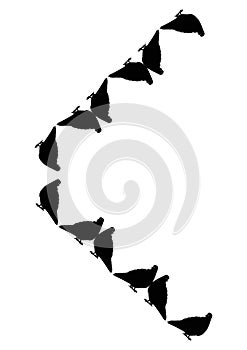 The frames are black on a white background - silhouettes of birds. Pigeons.