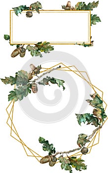 Frames. Oak branches and acorns. Watercolor illustration
