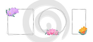 Frames with orchid flowers Brassolaeliocattleya on a white background. Simple elegant frames for your design of cards, greetings photo