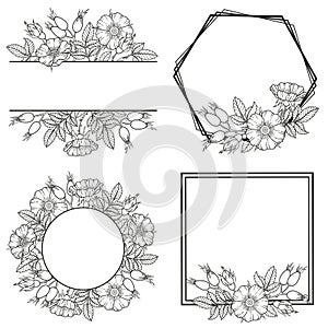 Frames set of dog-rose flowers, branches and leaves. Vector isolated on white background. Coloring book, elements for