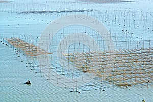 frames to air the laver dry