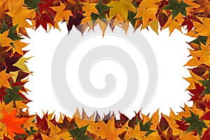 Framework from maple leaves