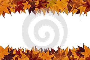 Framework from maple leaves