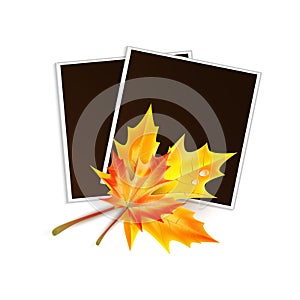 Framework for a photo decorated autumn maple leaves