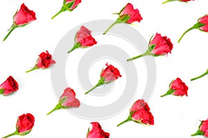 Framework from red roses on white background. Flat lay