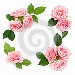 Framework from roses on white background. Flat lay, top view