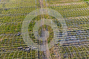 Frameworks of greenhouses. Construction of greenhouses in the field. Agriculture, agrotechnics of closed ground