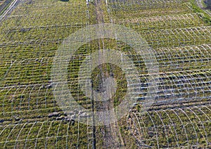 Frameworks of greenhouses, top view. Construction of greenhouses in the field. Agriculture, agrotechnics of closed ground