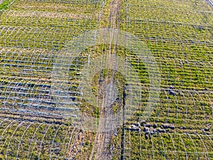 Frameworks of greenhouses, top view. of greenhouses in the field. Agriculture, agrotechnics of closed ground