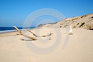 France, Aquitaine, the beach of dune of Pilat.