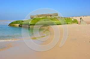 France, Aquitaine, Cap Ferret, gobbled up bunker