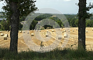 France - Aveyron - 2017 - Haymaking - Stocking up for Winter