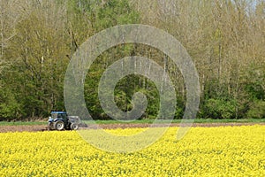 France, field in Saint Clair sur Epte in Val d Oise