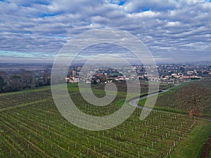 FRANCE, GIRONDE, LOUPIAC, AERIAL VIEW LOUPIAC VILLAGE AND ITS VINEYARD, BORDEAUX VINEYARD, FRANCE