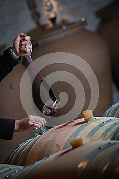 FRANCE, GIRONDE, SAINT-EMILION, SAMPLING A GLASS OF WINE IN A BARREL WITH A PIPETTE FOR TASTING AND VINIFICATION