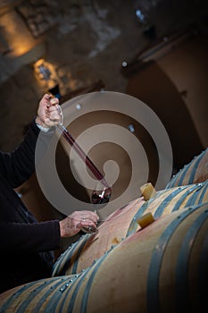 FRANCE, GIRONDE, SAINT-EMILION, SAMPLING A GLASS OF WINE IN A BARREL WITH A PIPETTE FOR TASTING AND VINIFICATION