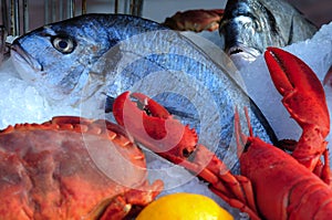 France, Nice: French Riviera fish photo