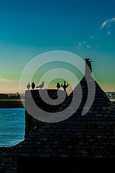 France. Normandy. Mont Saint-Michel. Roofs