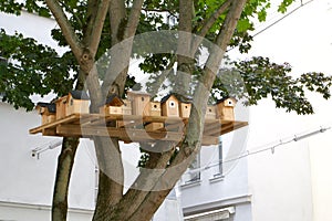 France Paris Birdhouses mounted in tree  52855