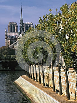 France. paris. cathedrale notre-dame from ile st. louis.