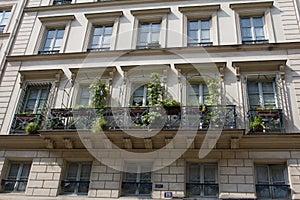 France Paris Plantings outside apartment  809301