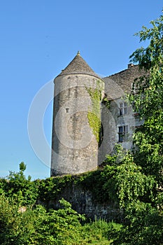 France, picturesque castle of Salignac photo