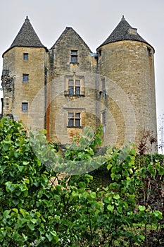 France, picturesque castle of Salignac photo