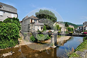 France, picturesque castle of Salignac photo