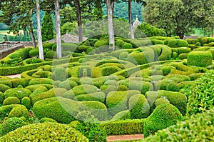 France, picturesque garden of Marqueyssac in Dordogne