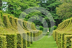 France, picturesque Jardins du Manoir d Eyrignac in Dordogne