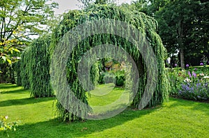 France, picturesque Jardins du Manoir d Eyrignac in Dordogne