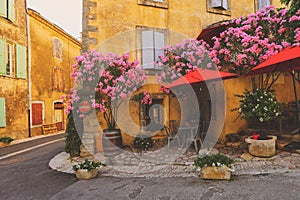 France Provence street with beautiful blooming flowers