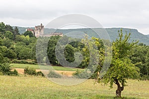 France's ChÃÂ¢teau de Beynac