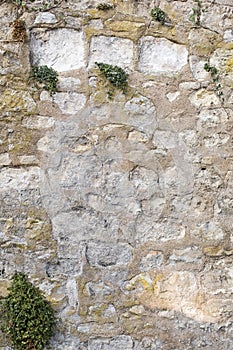 France, Val de Loire-Beautiful and old stone wall with vegetation moss, ferns, grass