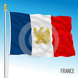 France waving flag with historical french symbol